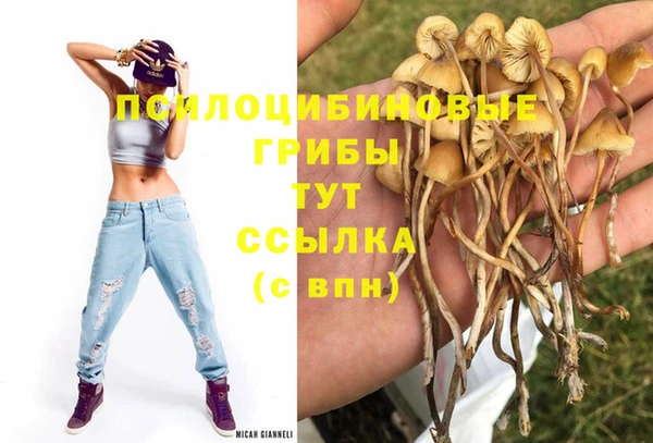 ECSTASY Балахна