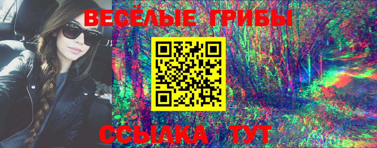 Псилоцибиновые грибы Psilocybine cubensis  Вход с VPN  Губаха 